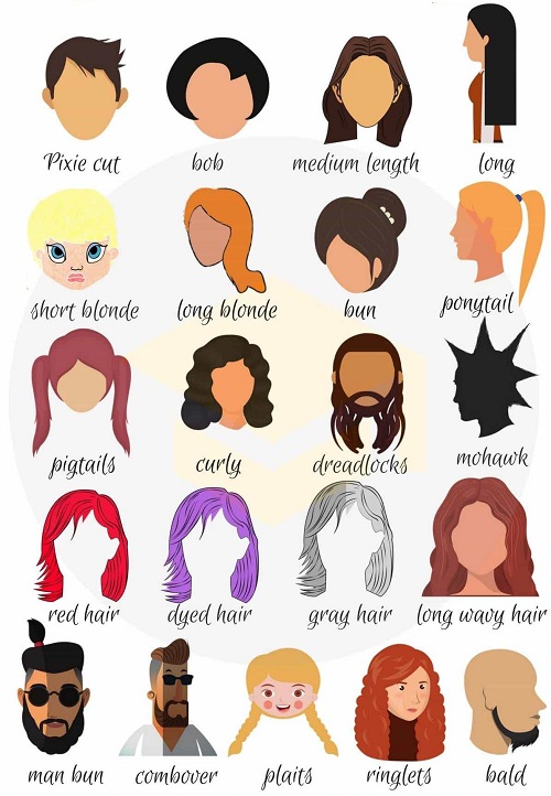 Tên gọi các kiểu tóc trong tiếng Anh